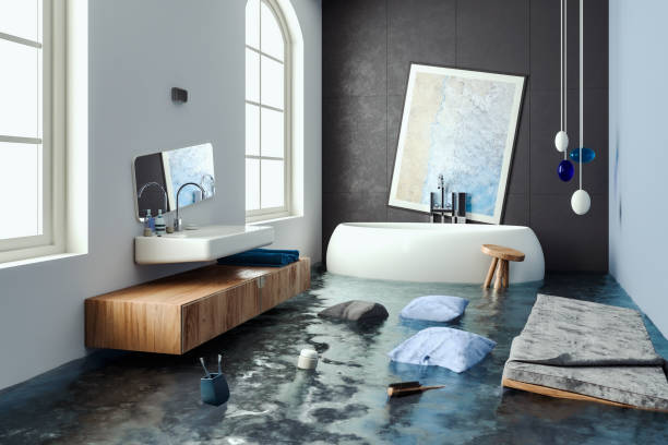 Best Mold removal after water damage  in Plymouth, MN