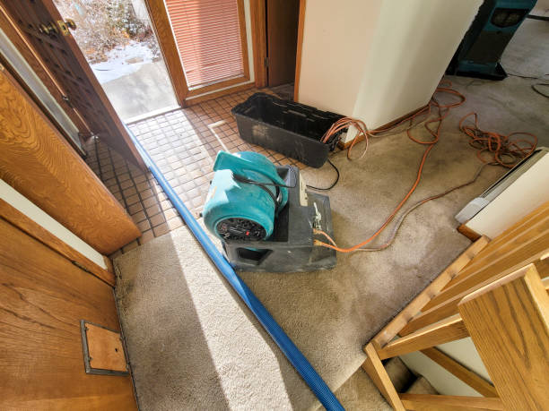 Best Commercial water damage restoration  in Plymouth, MN