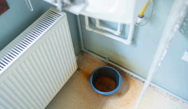 Best Water damage repair service  in Plymouth, MN