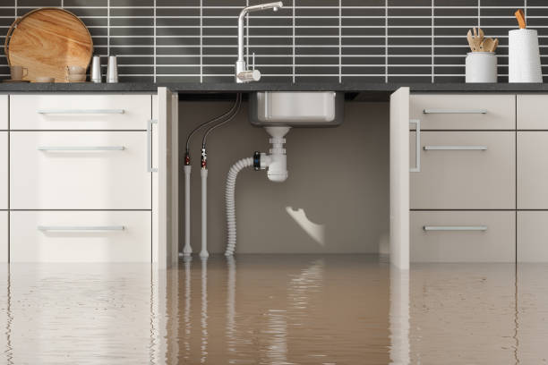 Carpet water damage restoration in MN