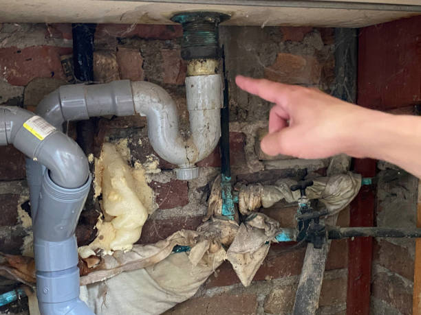 Best Flood restoration services  in Plymouth, MN