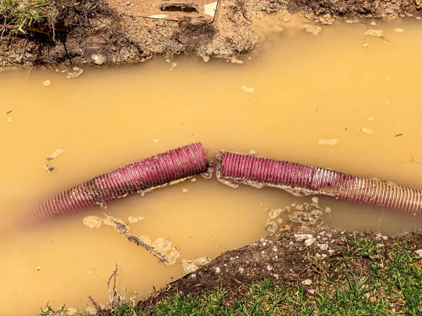 Best Carpet water damage restoration  in Plymouth, MN