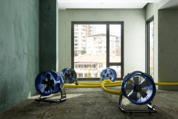 Best Water damage contractors near me  in Plymouth, MN